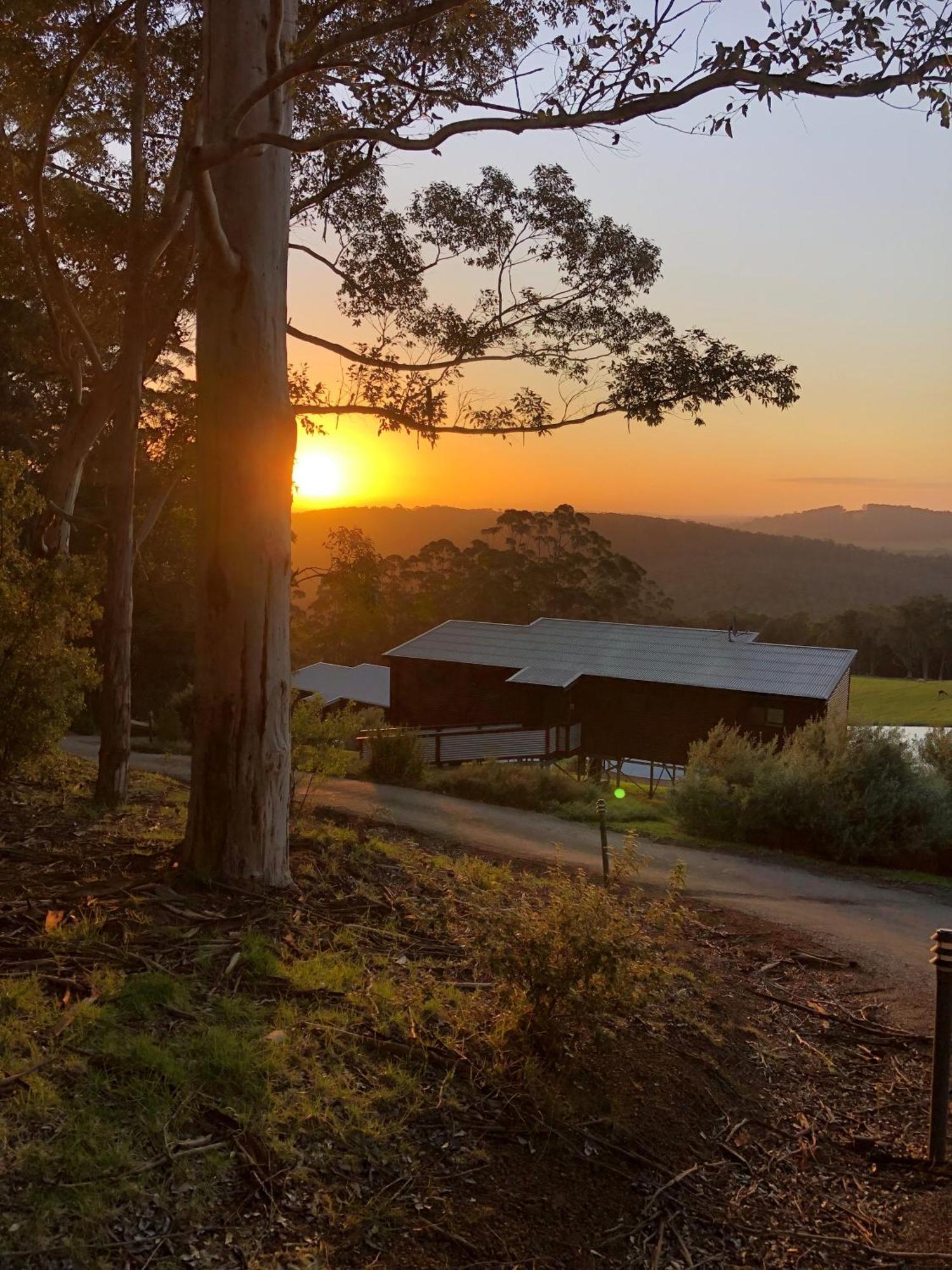 Karrak Reach Forest Retreat Денмарк Экстерьер фото